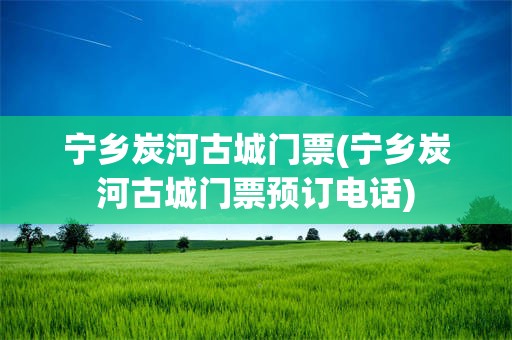 宁乡炭河古城门票(宁乡炭河古城门票预订电话)