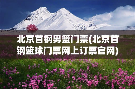 北京首钢男篮门票(北京首钢篮球门票网上订票官网)