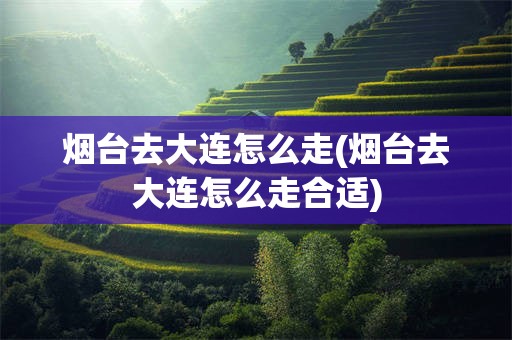 烟台去大连怎么走(烟台去大连怎么走合适)