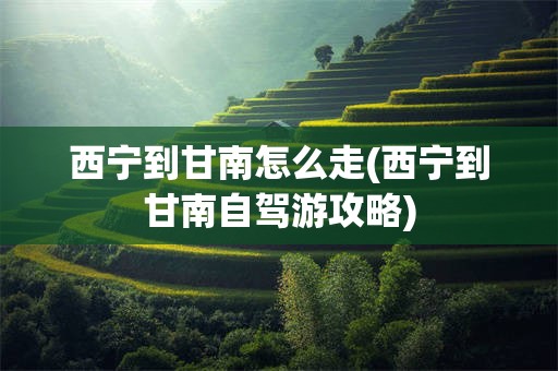 西宁到甘南怎么走(西宁到甘南自驾游攻略)