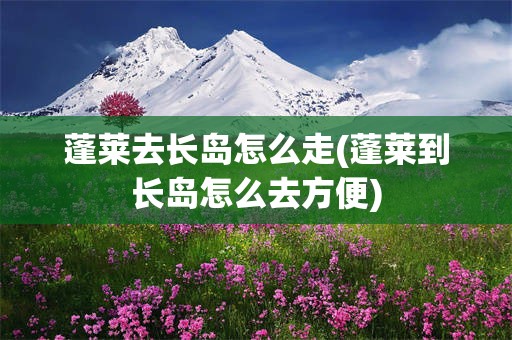蓬莱去长岛怎么走(蓬莱到长岛怎么去方便)