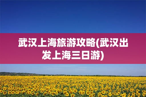 武汉上海旅游攻略(武汉出发上海三日游)
