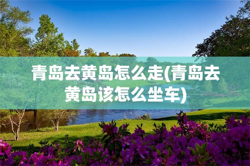 青岛去黄岛怎么走(青岛去黄岛该怎么坐车)