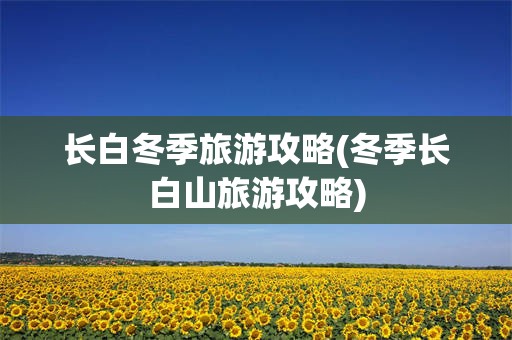 长白冬季旅游攻略(冬季长白山旅游攻略)
