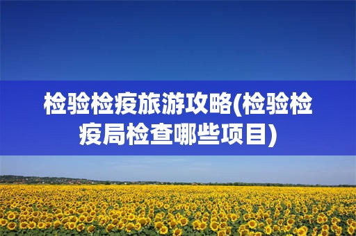 检验检疫旅游攻略(检验检疫局检查哪些项目)