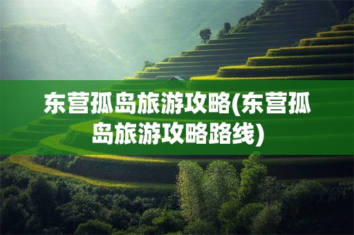 东营孤岛旅游攻略(东营孤岛旅游攻略路线)