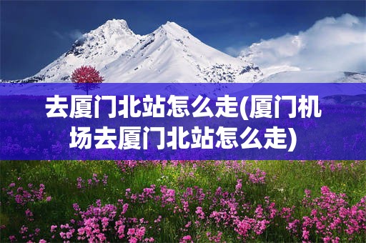 去厦门北站怎么走(厦门机场去厦门北站怎么走)