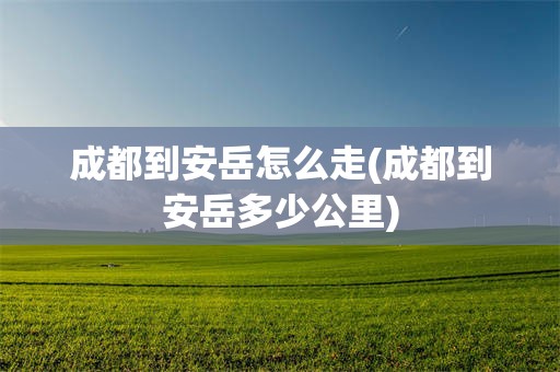 成都到安岳怎么走(成都到安岳多少公里)