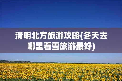 清明北方旅游攻略(冬天去哪里看雪旅游最好)