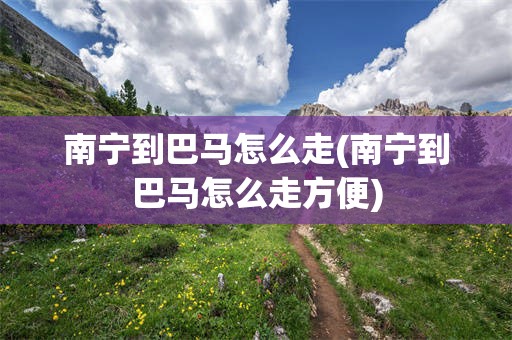 南宁到巴马怎么走(南宁到巴马怎么走方便)