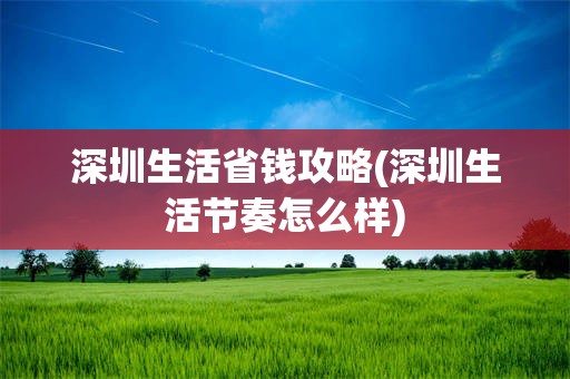深圳生活省钱攻略(深圳生活节奏怎么样)