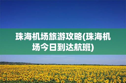 珠海机场旅游攻略(珠海机场今日到达航班)
