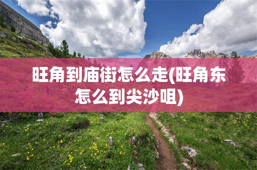 旺角到庙街怎么走(旺角东怎么到尖沙咀)