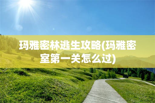 玛雅密林逃生攻略(玛雅密室第一关怎么过)