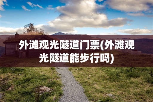 外滩观光隧道门票(外滩观光隧道能步行吗)
