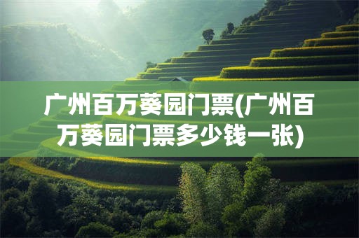 广州百万葵园门票(广州百万葵园门票多少钱一张)