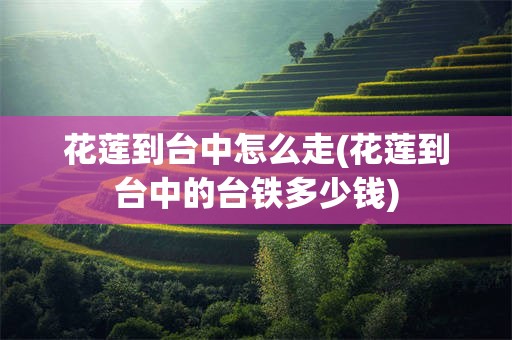 花莲到台中怎么走(花莲到台中的台铁多少钱)