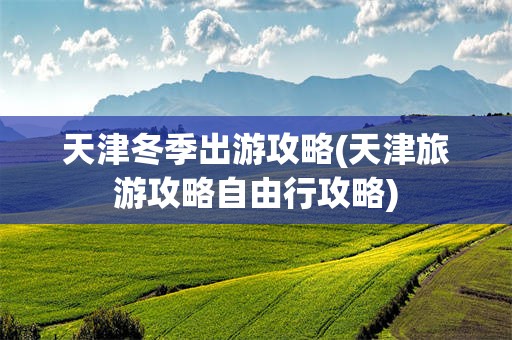 天津冬季出游攻略(天津旅游攻略自由行攻略)