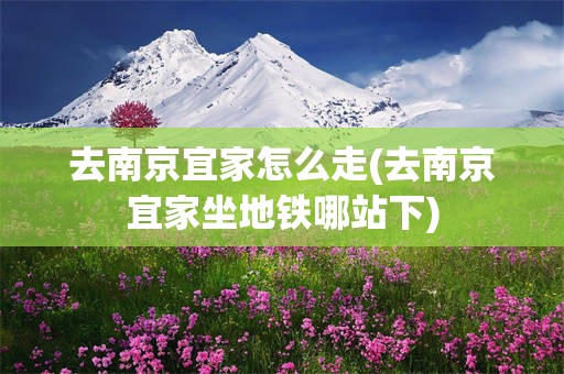 去南京宜家怎么走(去南京宜家坐地铁哪站下)