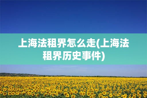 上海法租界怎么走(上海法租界历史事件)