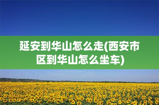延安到华山怎么走(西安市区到华山怎么坐车)