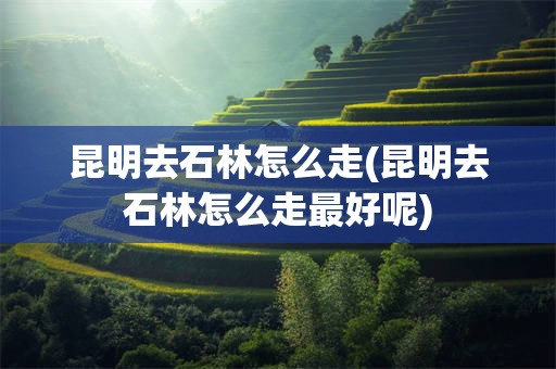 昆明去石林怎么走(昆明去石林怎么走最好呢)