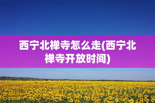 西宁北禅寺怎么走(西宁北禅寺开放时间)