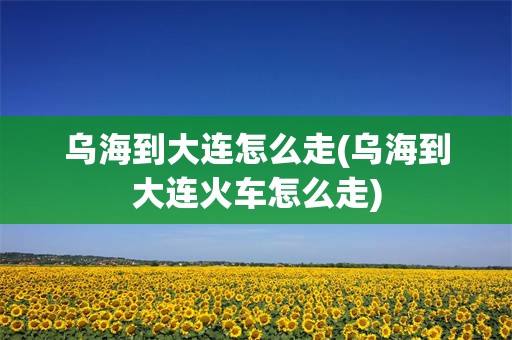 乌海到大连怎么走(乌海到大连火车怎么走)