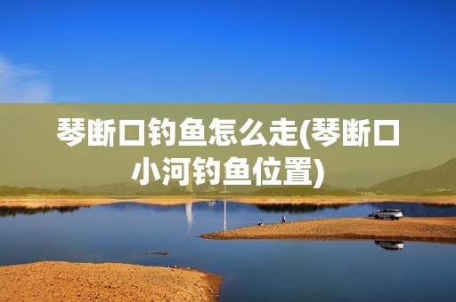 琴断口钓鱼怎么走(琴断口小河钓鱼位置)