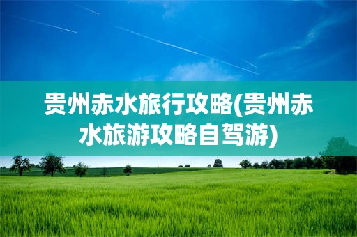 贵州赤水旅行攻略(贵州赤水旅游攻略自驾游)