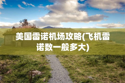美国雷诺机场攻略(飞机雷诺数一般多大)