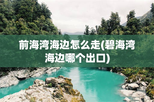 前海湾海边怎么走(碧海湾海边哪个出口)