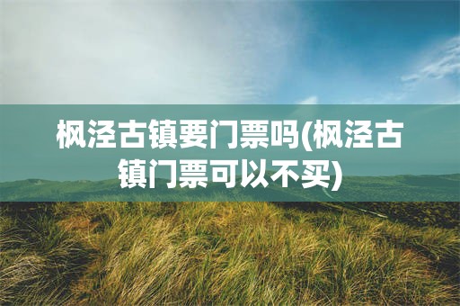 枫泾古镇要门票吗(枫泾古镇门票可以不买)