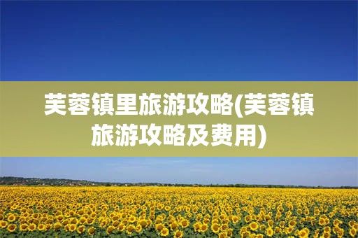 芙蓉镇里旅游攻略(芙蓉镇旅游攻略及费用)