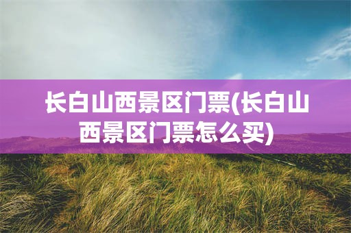 长白山西景区门票(长白山西景区门票怎么买)
