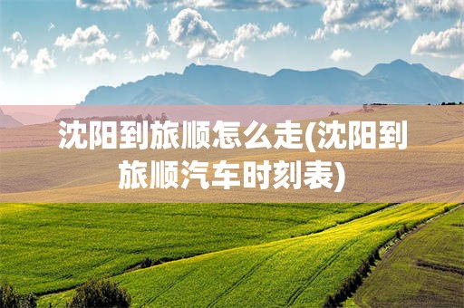 沈阳到旅顺怎么走(沈阳到旅顺汽车时刻表)