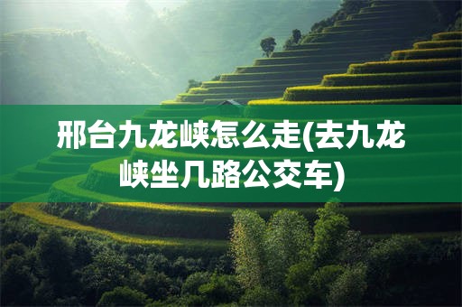 邢台九龙峡怎么走(去九龙峡坐几路公交车)
