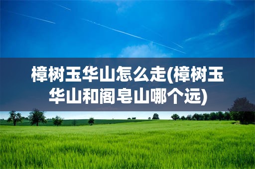 樟树玉华山怎么走(樟树玉华山和阁皂山哪个远)