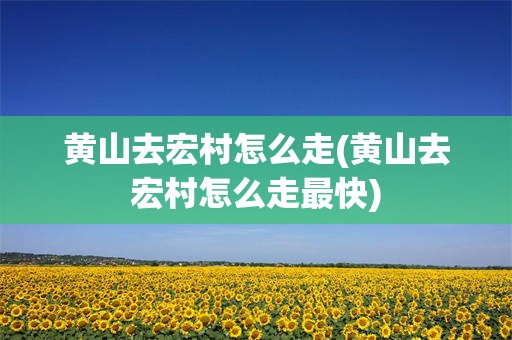 黄山去宏村怎么走(黄山去宏村怎么走最快)