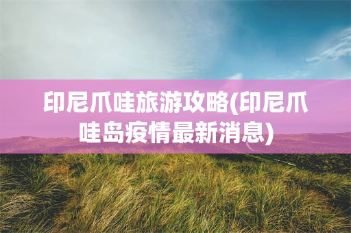 印尼爪哇旅游攻略(印尼爪哇岛疫情最新消息)