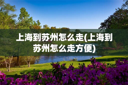 上海到苏州怎么走(上海到苏州怎么走方便)