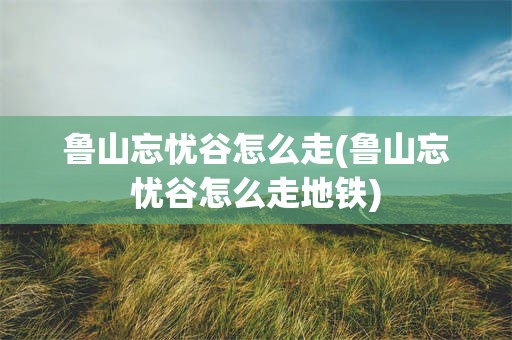 鲁山忘忧谷怎么走(鲁山忘忧谷怎么走地铁)