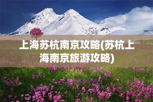 上海苏杭南京攻略(苏杭上海南京旅游攻略)