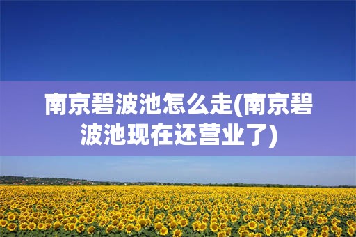 南京碧波池怎么走(南京碧波池现在还营业了)