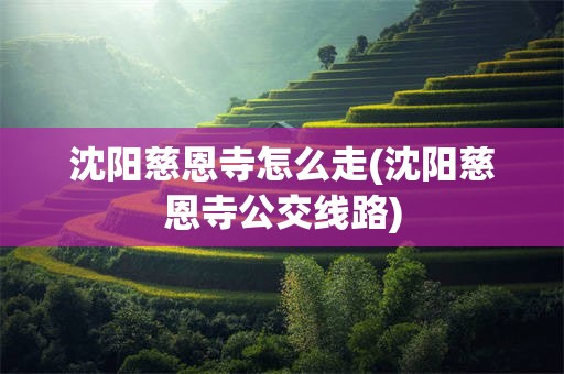 沈阳慈恩寺怎么走(沈阳慈恩寺公交线路)