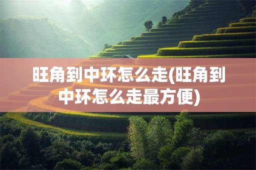 旺角到中环怎么走(旺角到中环怎么走最方便)