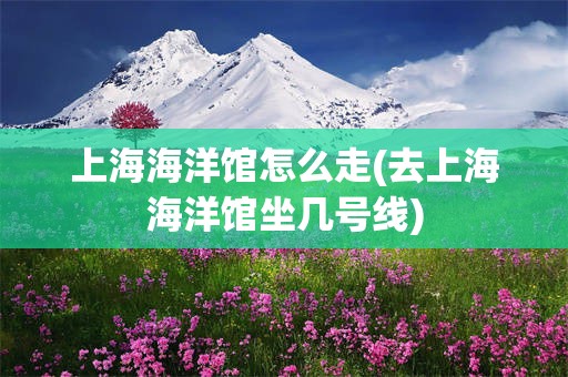上海海洋馆怎么走(去上海海洋馆坐几号线)