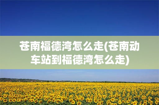 苍南福德湾怎么走(苍南动车站到福德湾怎么走)
