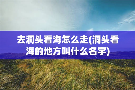 去洞头看海怎么走(洞头看海的地方叫什么名字)