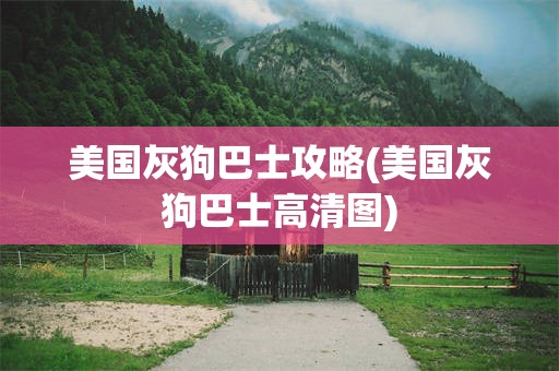 美国灰狗巴士攻略(美国灰狗巴士高清图)